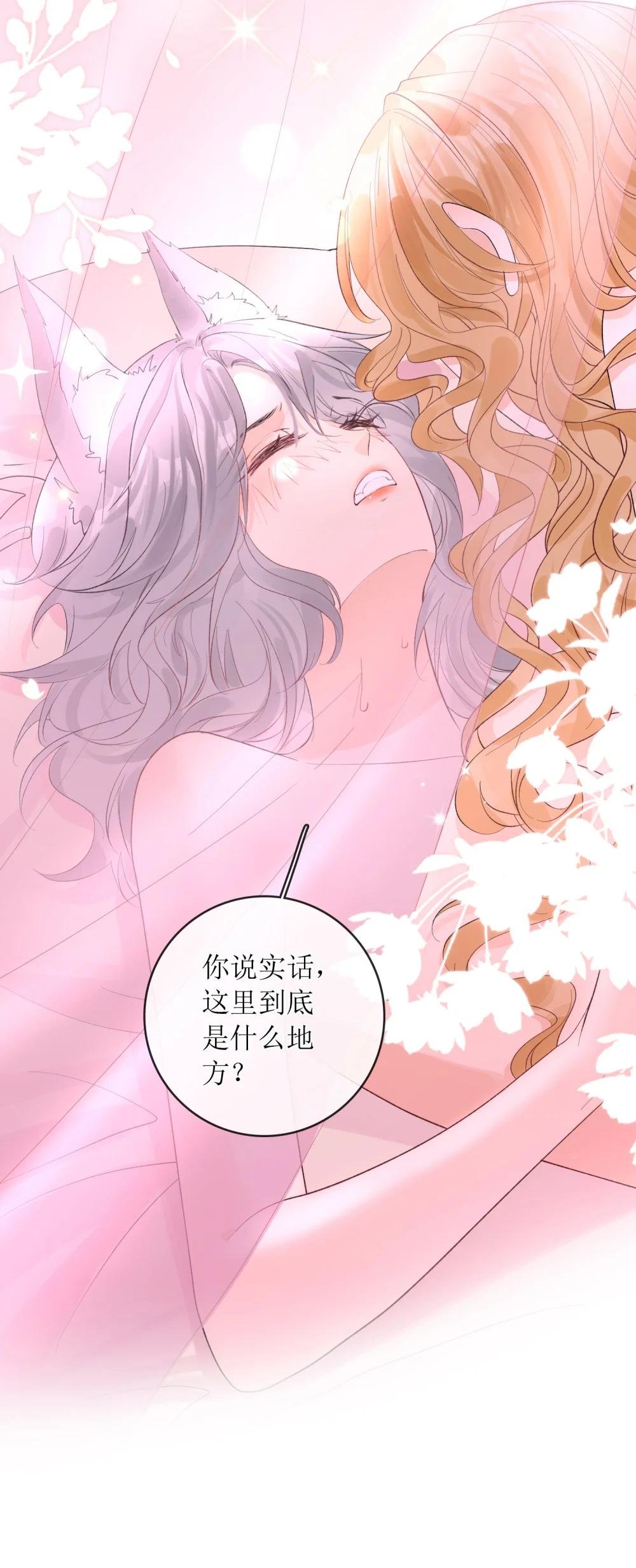 40 总不能灰狼在下面吧