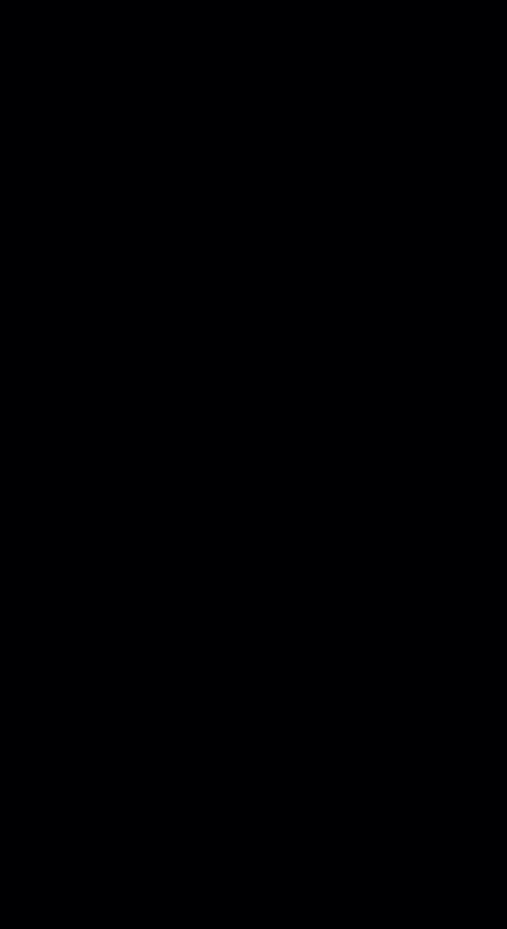 11 最后的训练