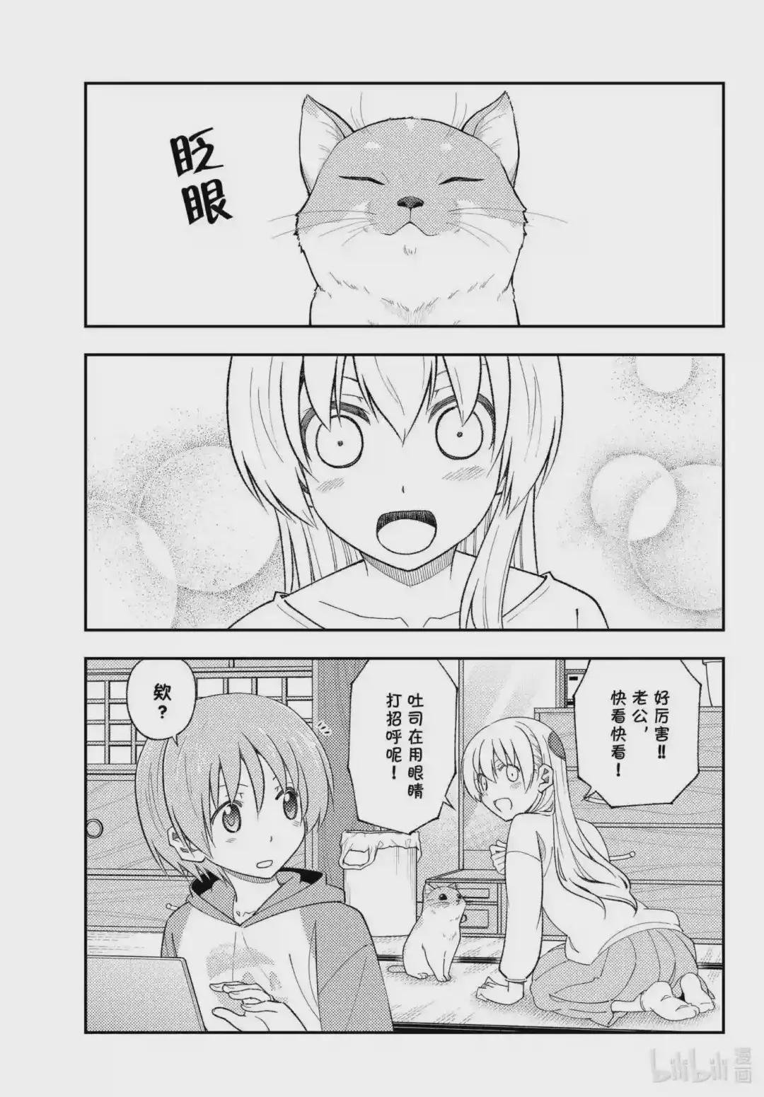 172 第172话“猫也很可爱”