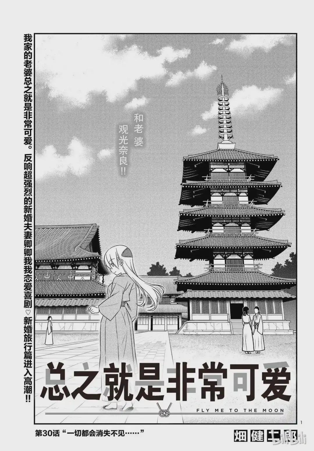 30 第30话“一切都会消失不见……”