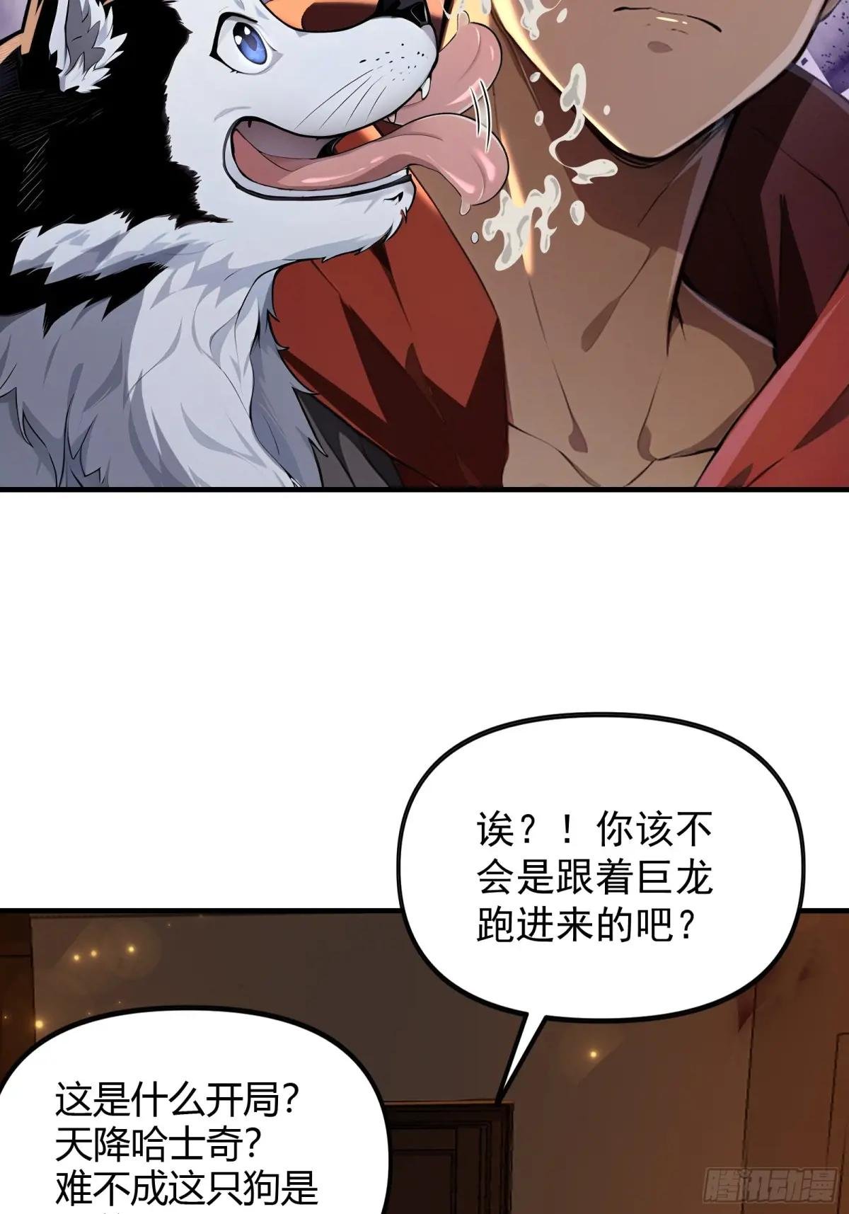 1 一人一狗