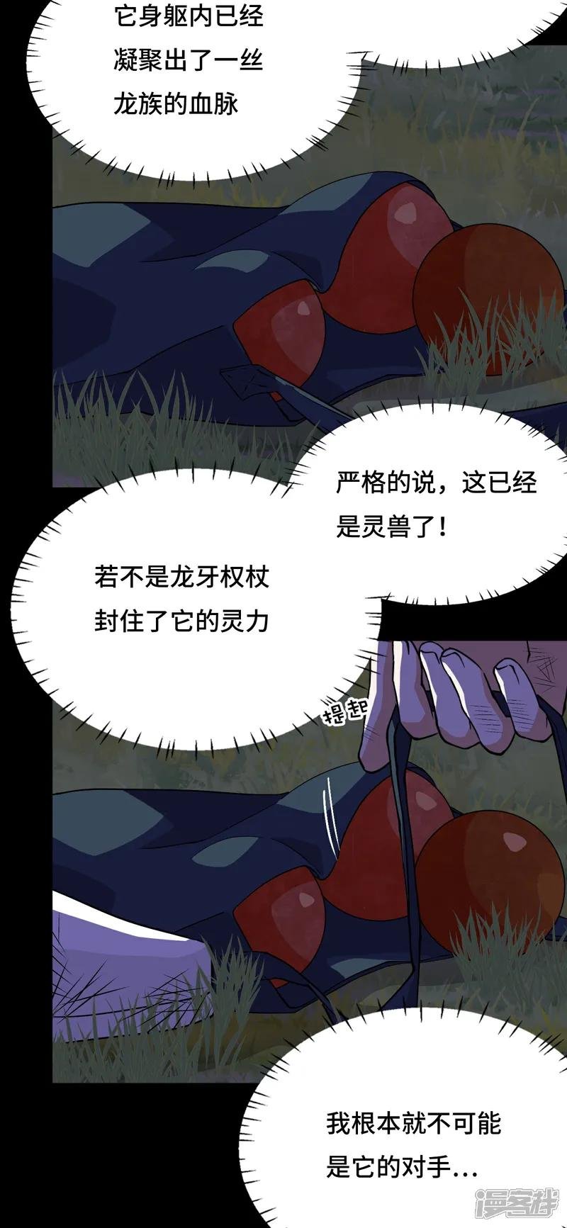 第19话 稀世珍宝