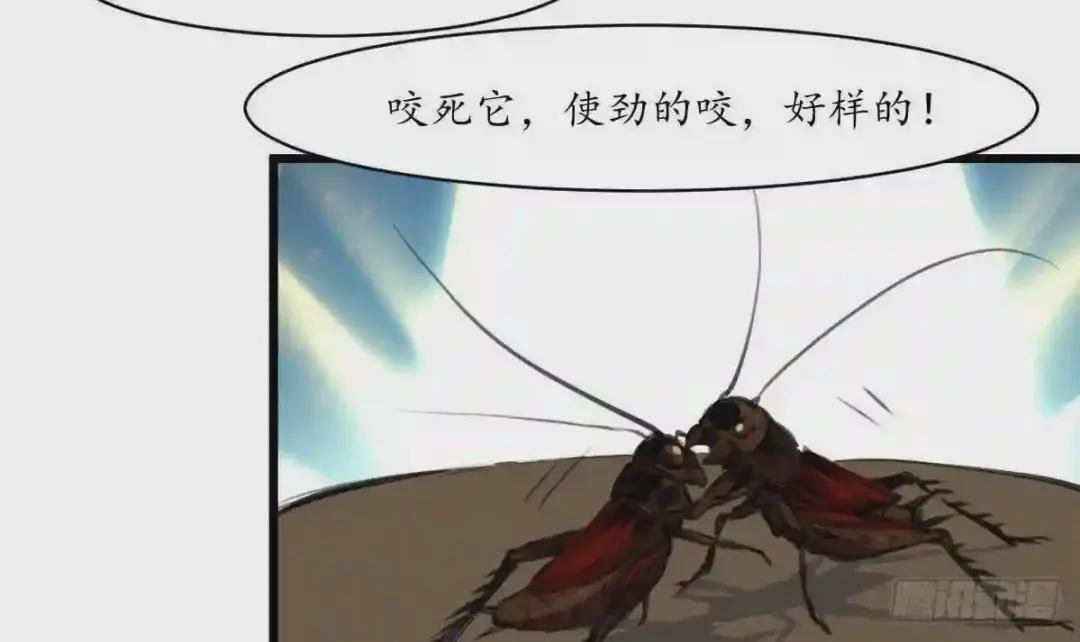 第205话 输在哪里