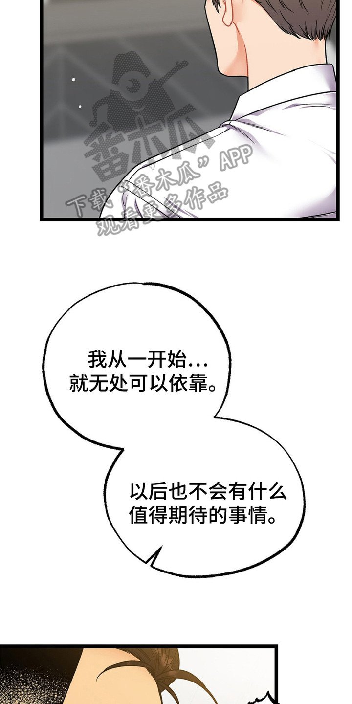 第12章：期待