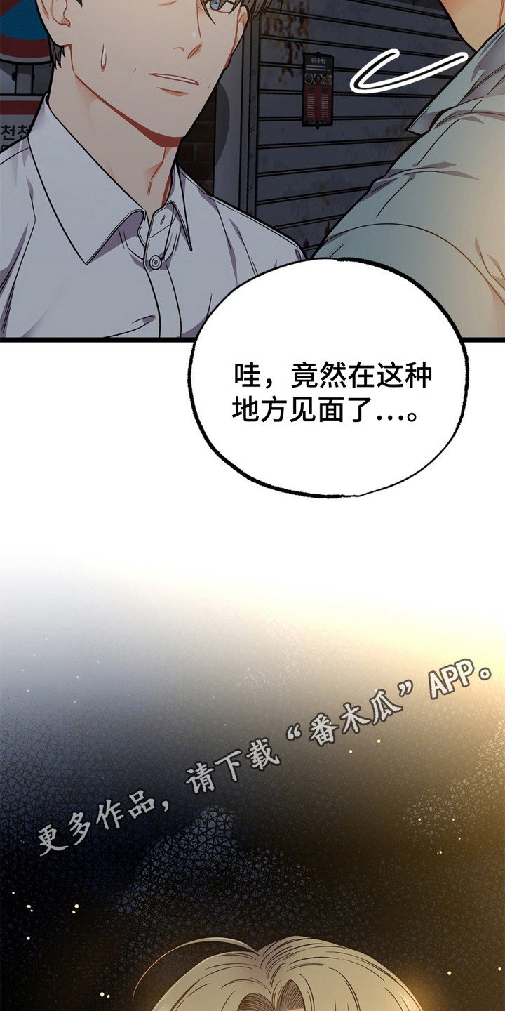 第13章：胡说八道