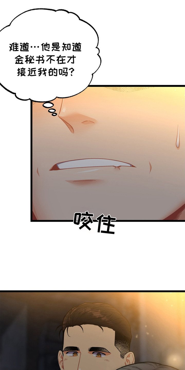 第13章：胡说八道