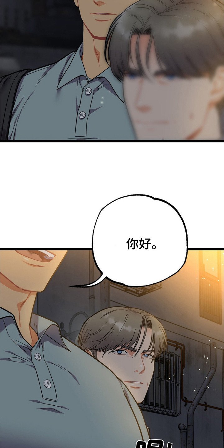 第13章：胡说八道