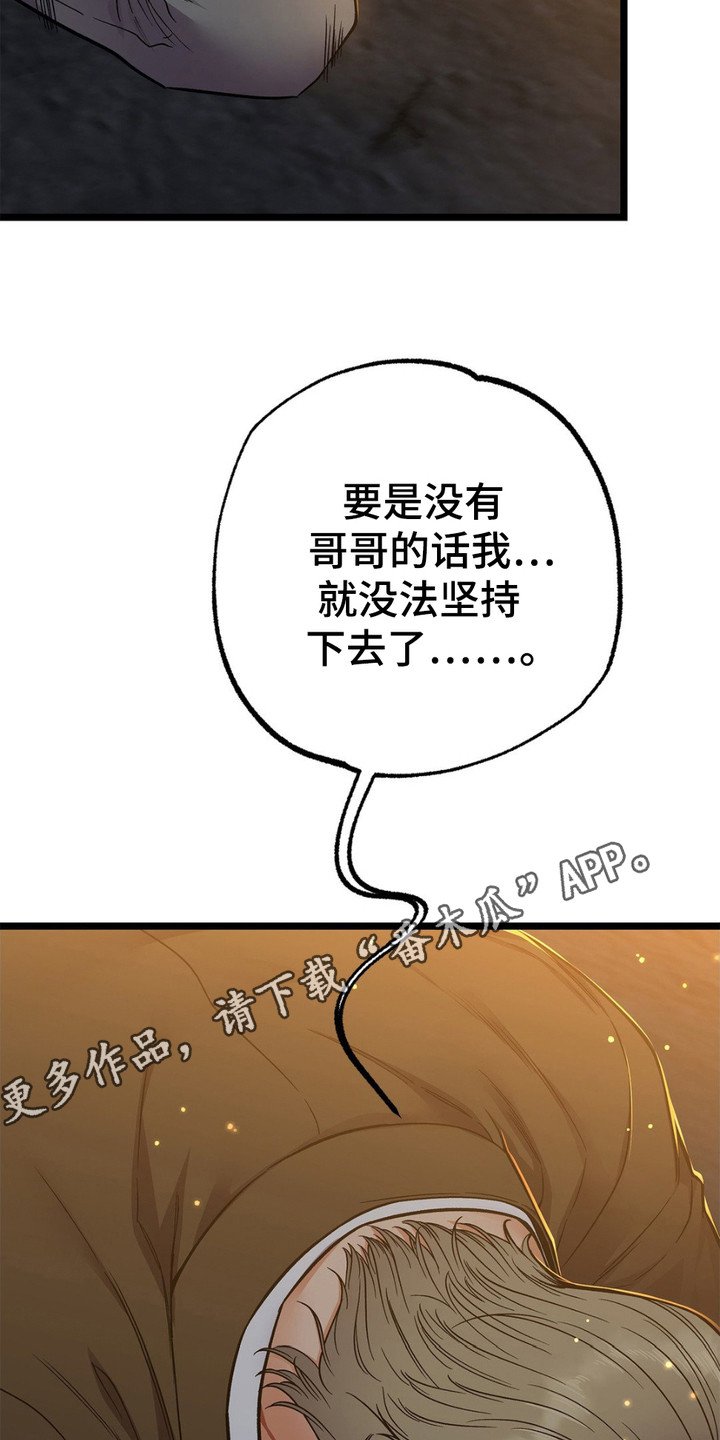 第14章：安全感