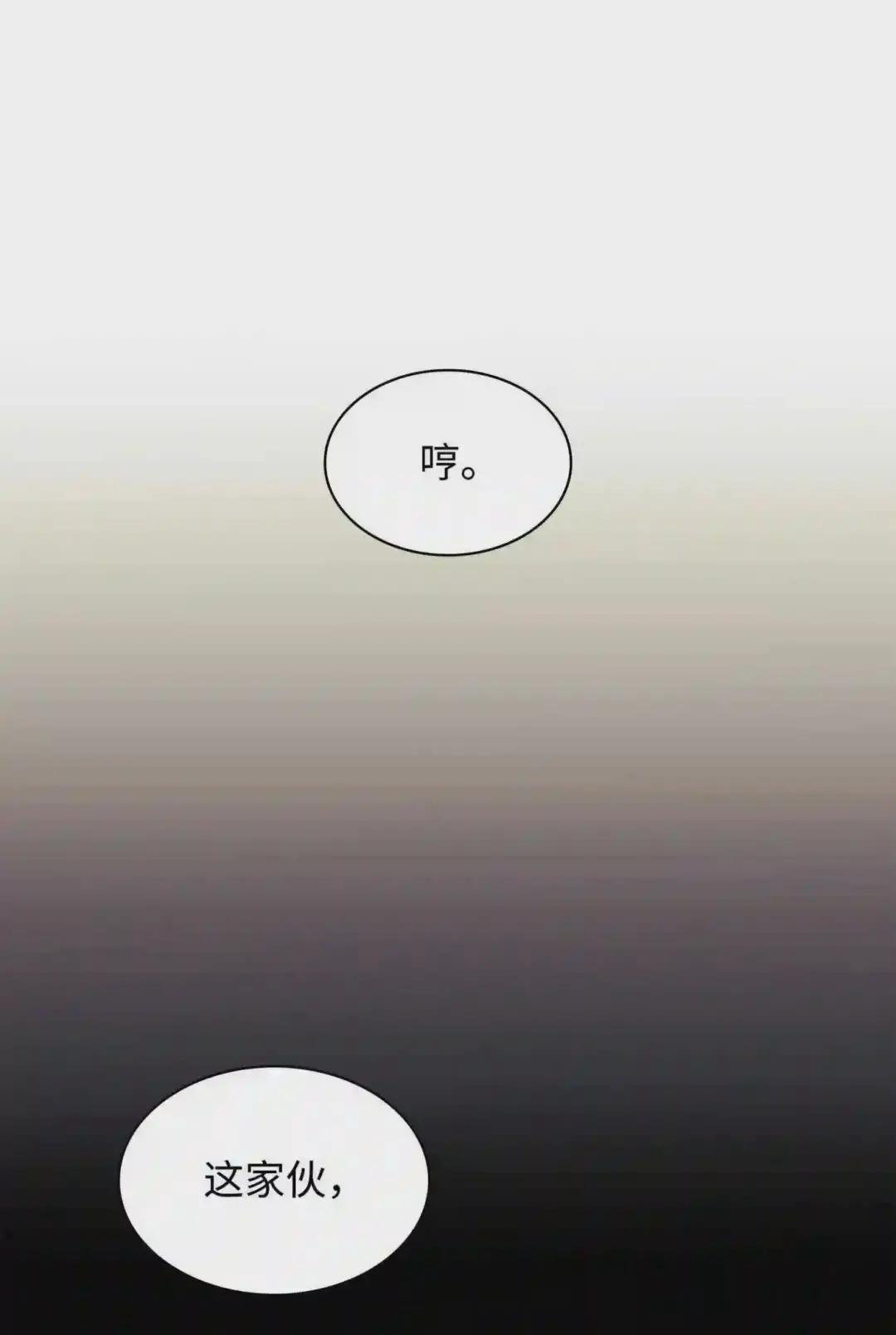 110 盗贼的归来