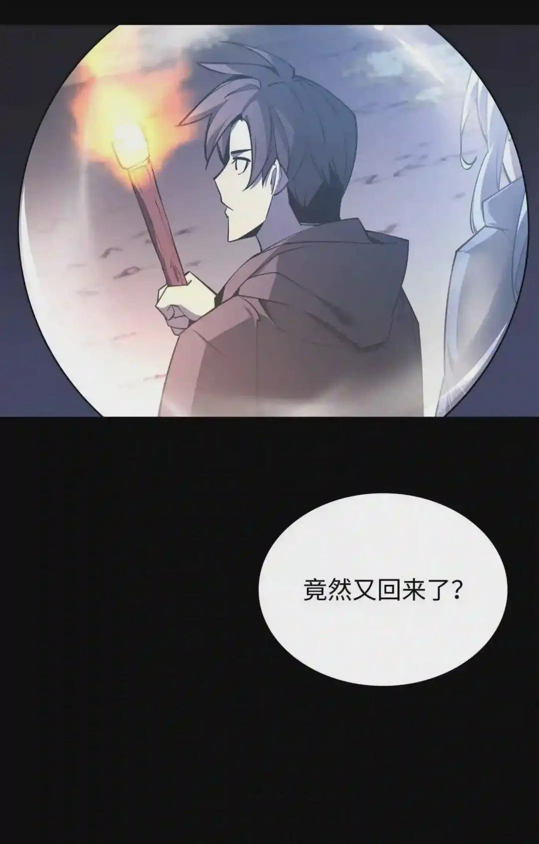110 盗贼的归来
