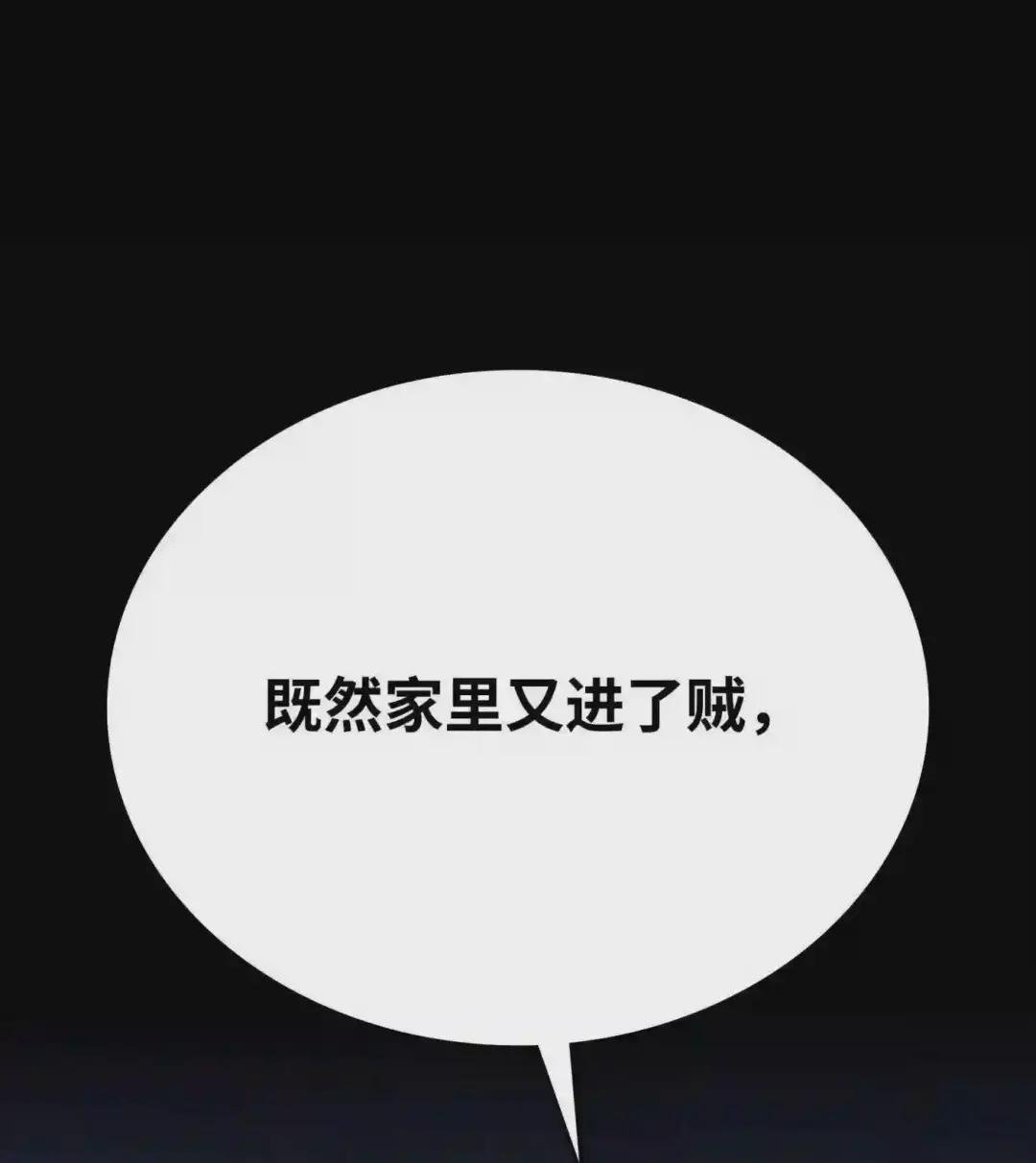 110 盗贼的归来