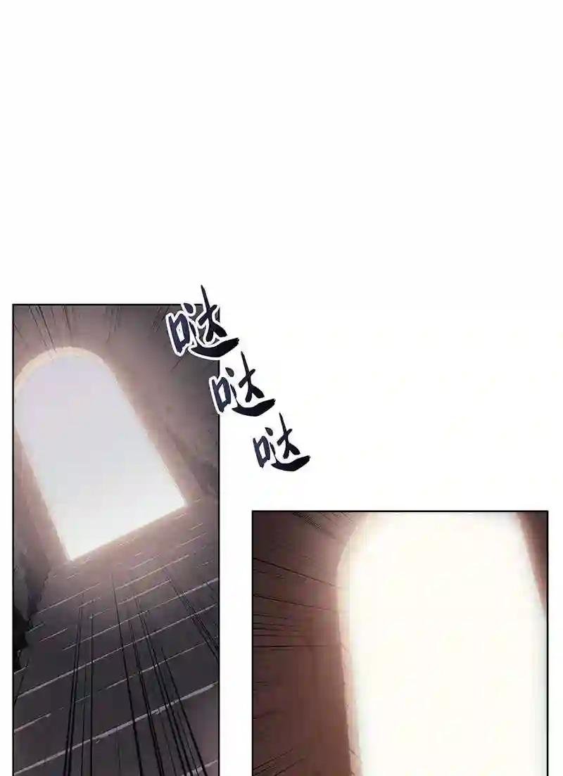 028 拉彼特的提议
