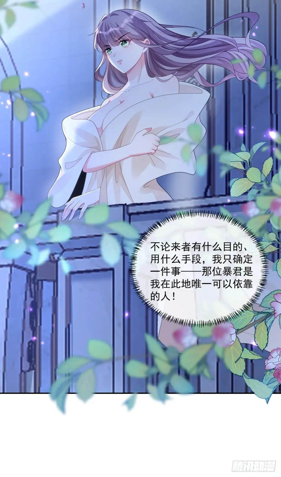 贝拉夫人