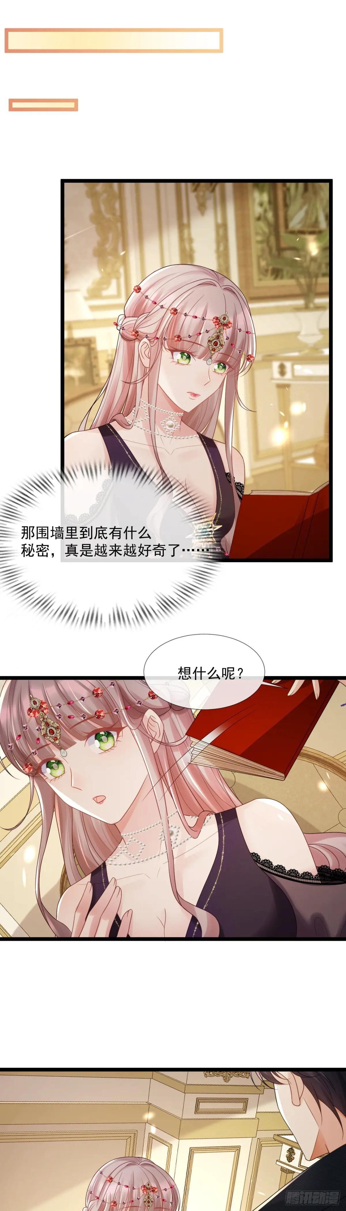围墙里的秘密