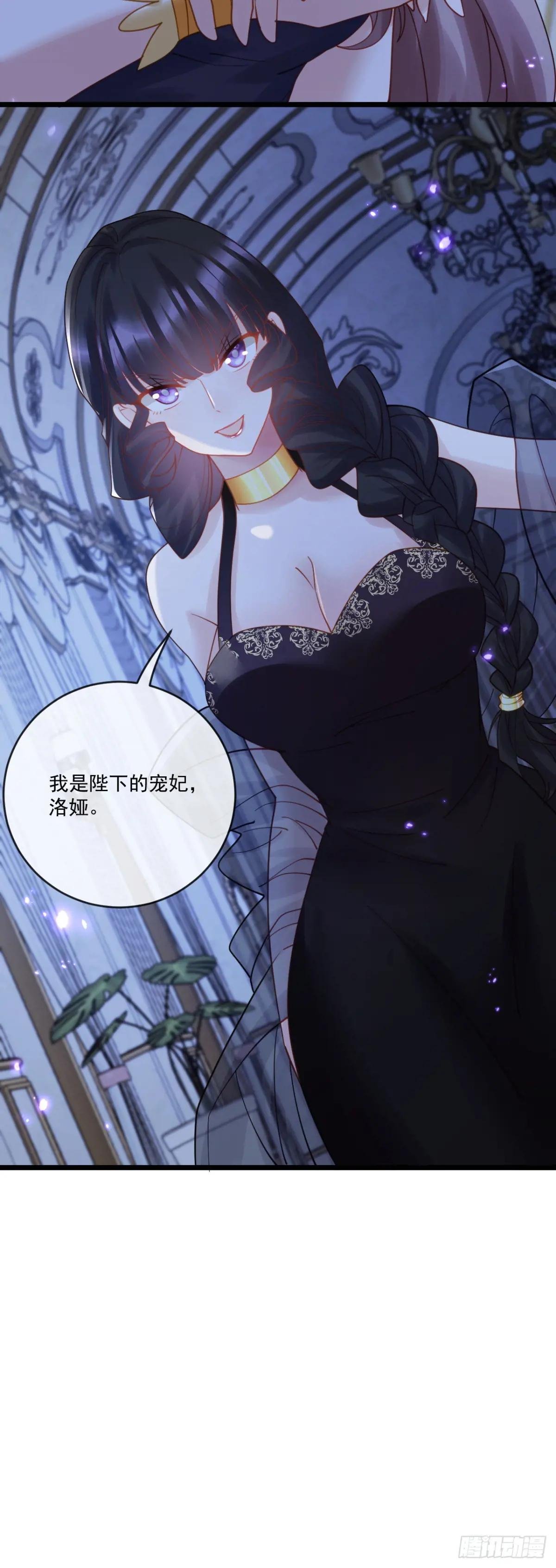 新的宠妃？呵！