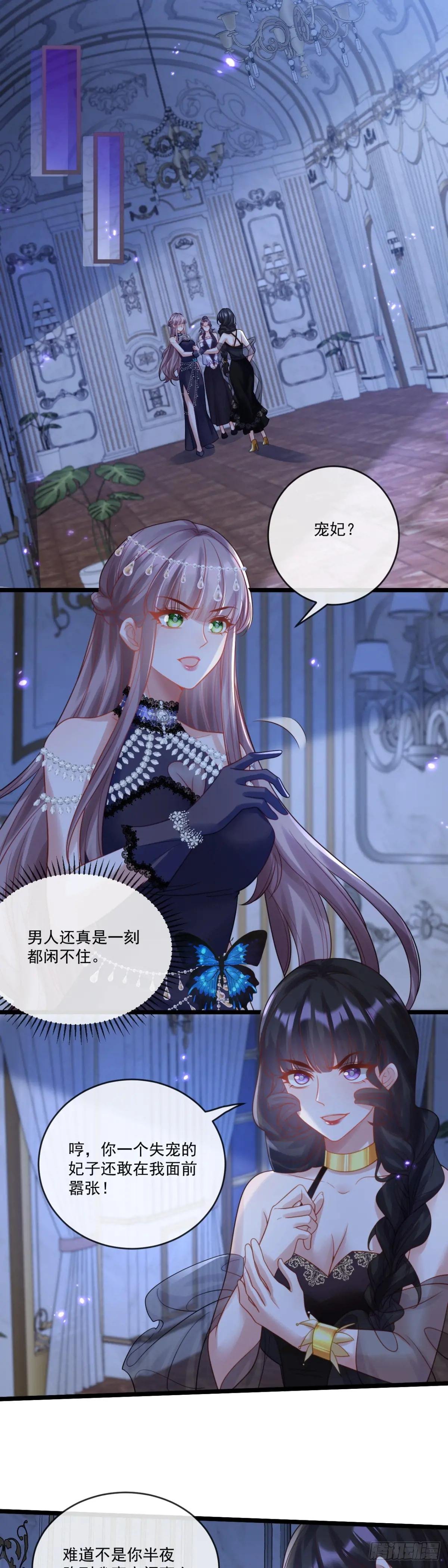 新的宠妃？呵！