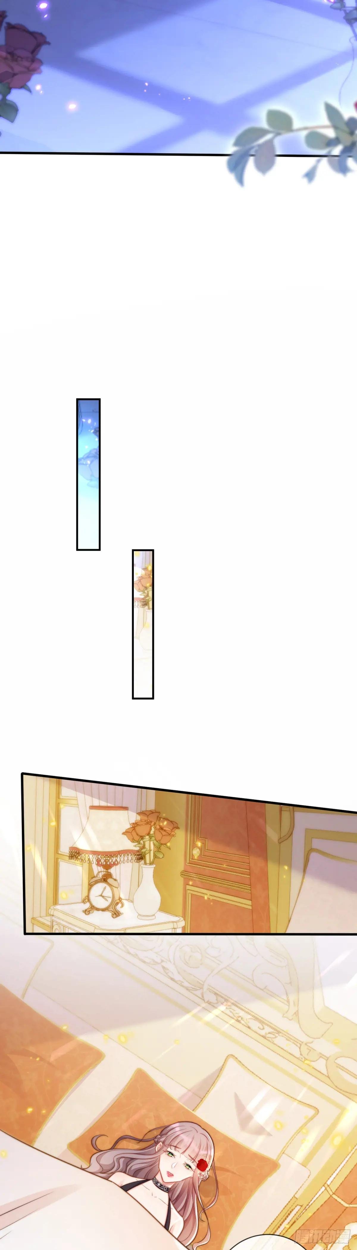 填充后宫