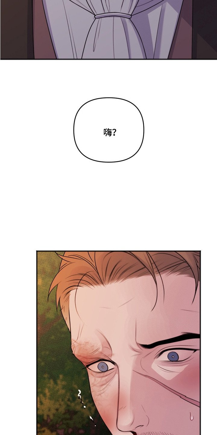 第11章：诱饵