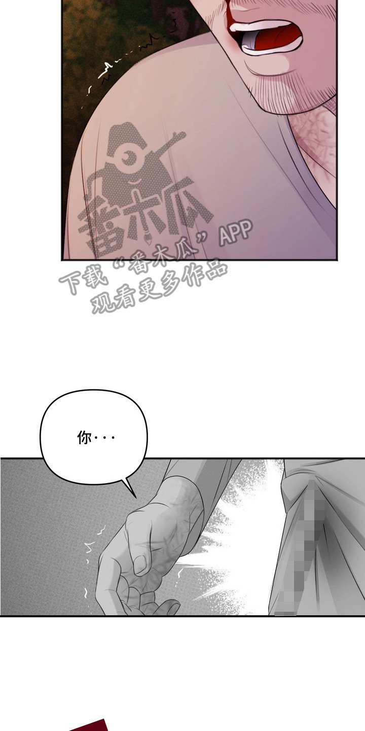 第11章：诱饵