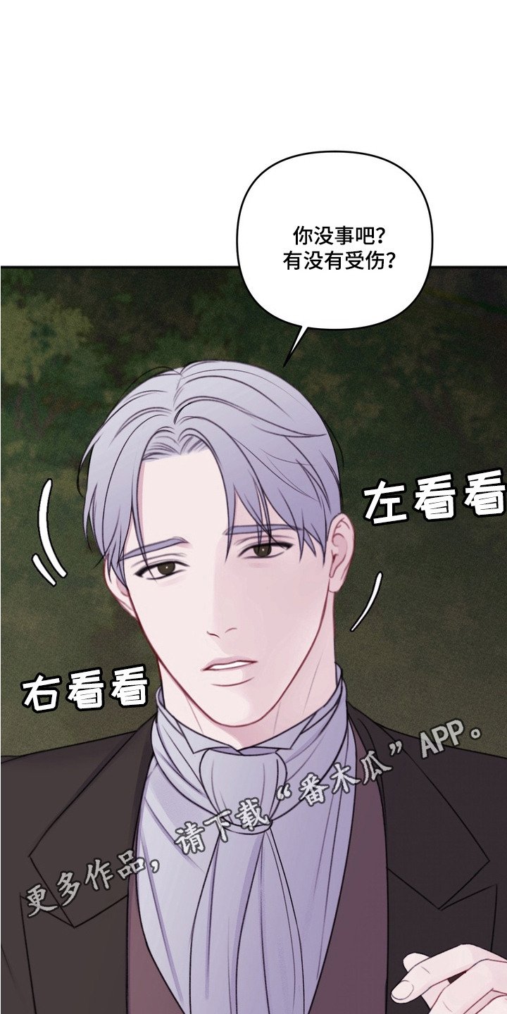 第11章：诱饵