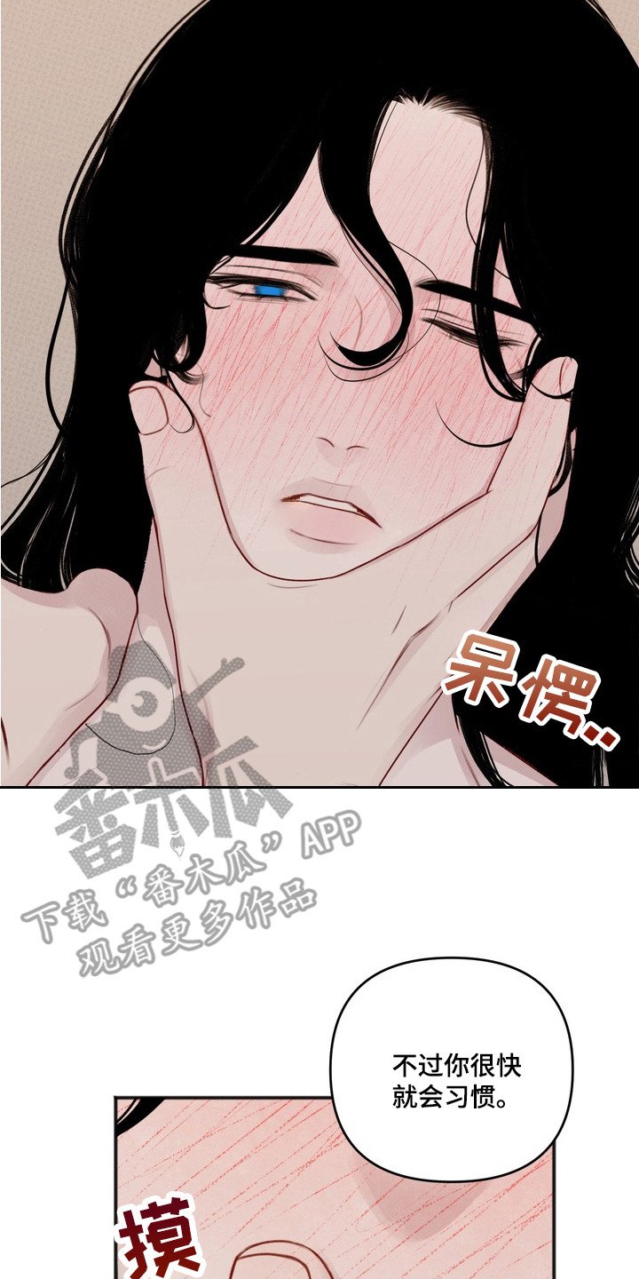 第4章：傻的可爱