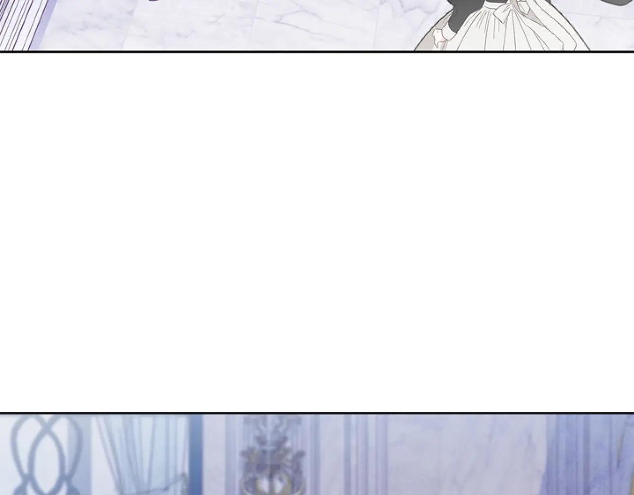 第6话 精灵的时尚