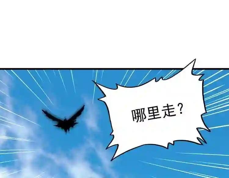 第187话 登场