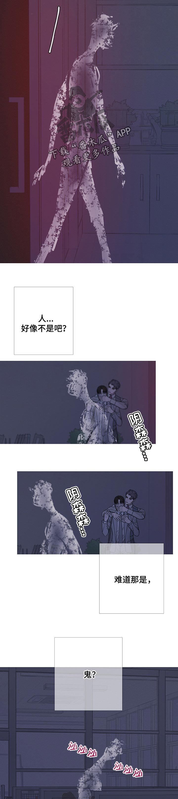 第24章：见鬼