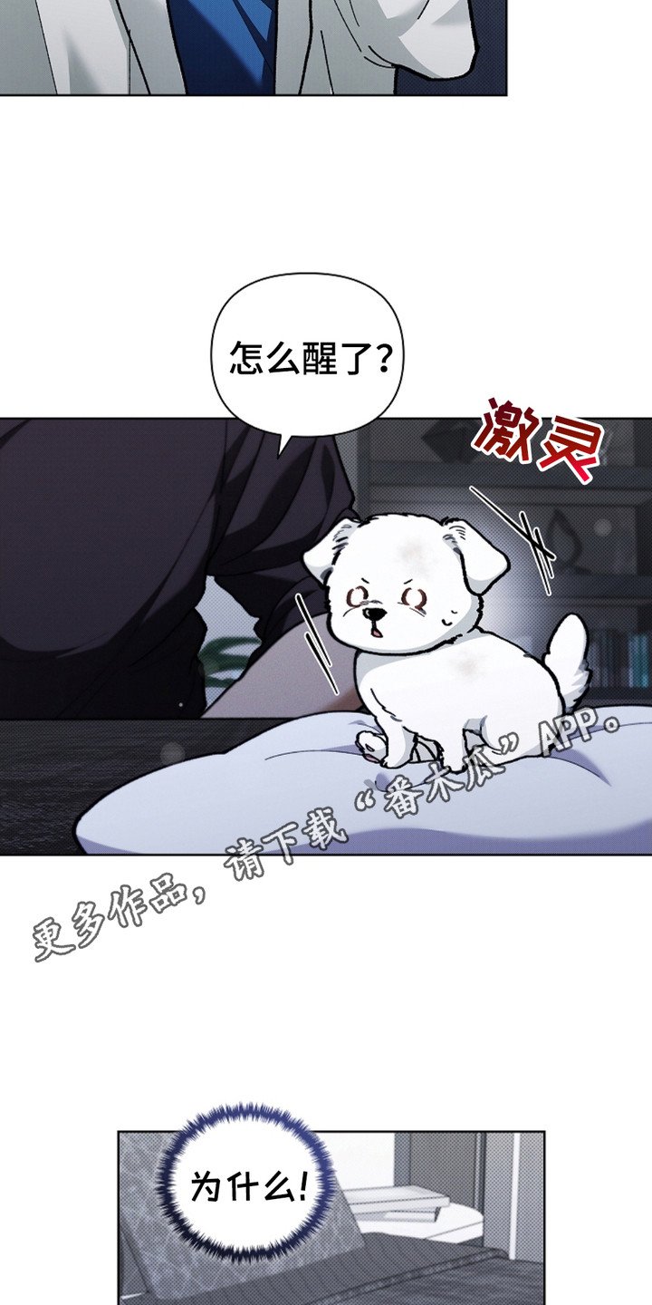 第10章：治疗