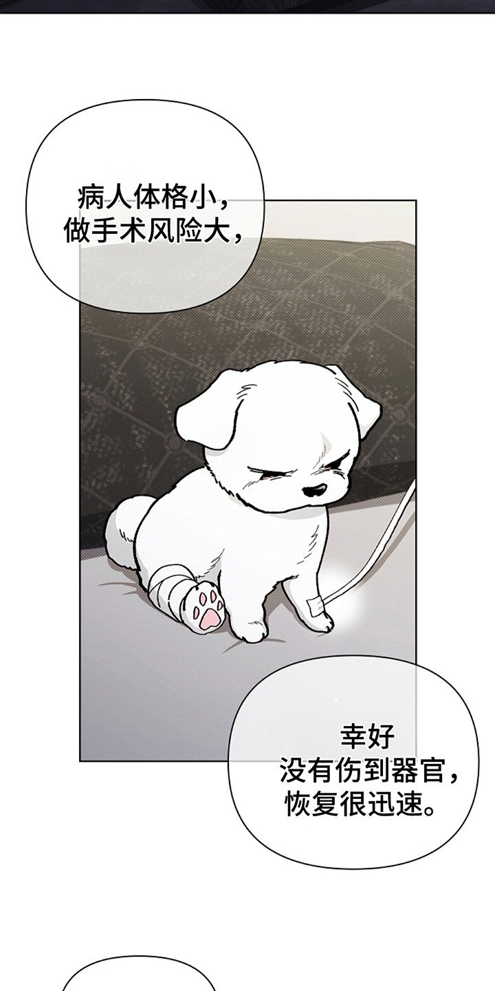 第10章：治疗