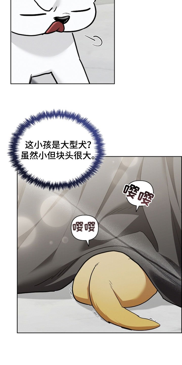 第101章：【番外】带娃