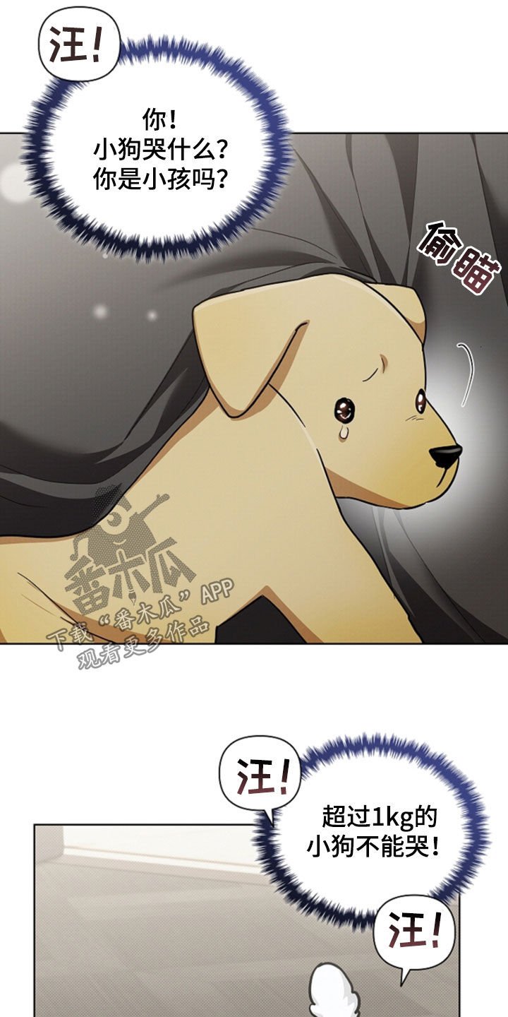 第101章：【番外】带娃