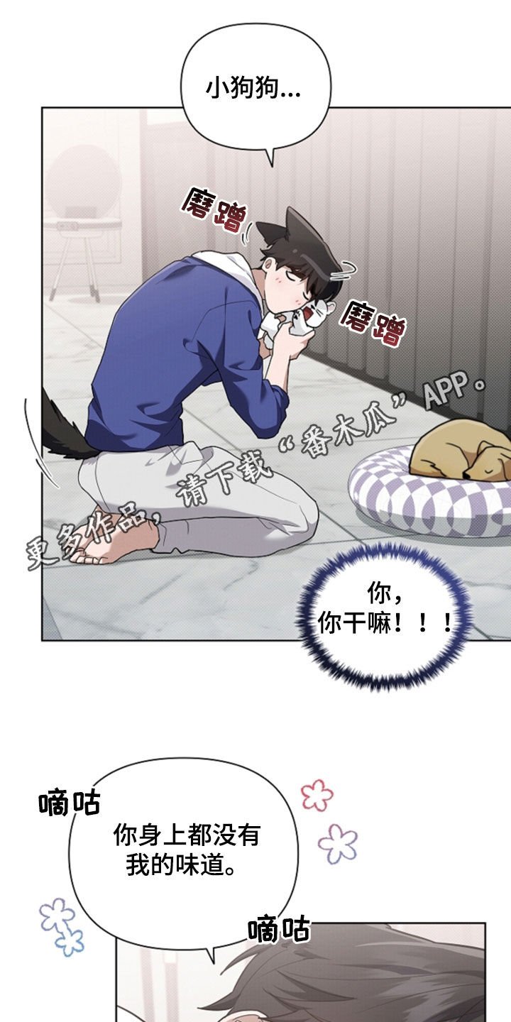 第102章：【番外】忍了很久