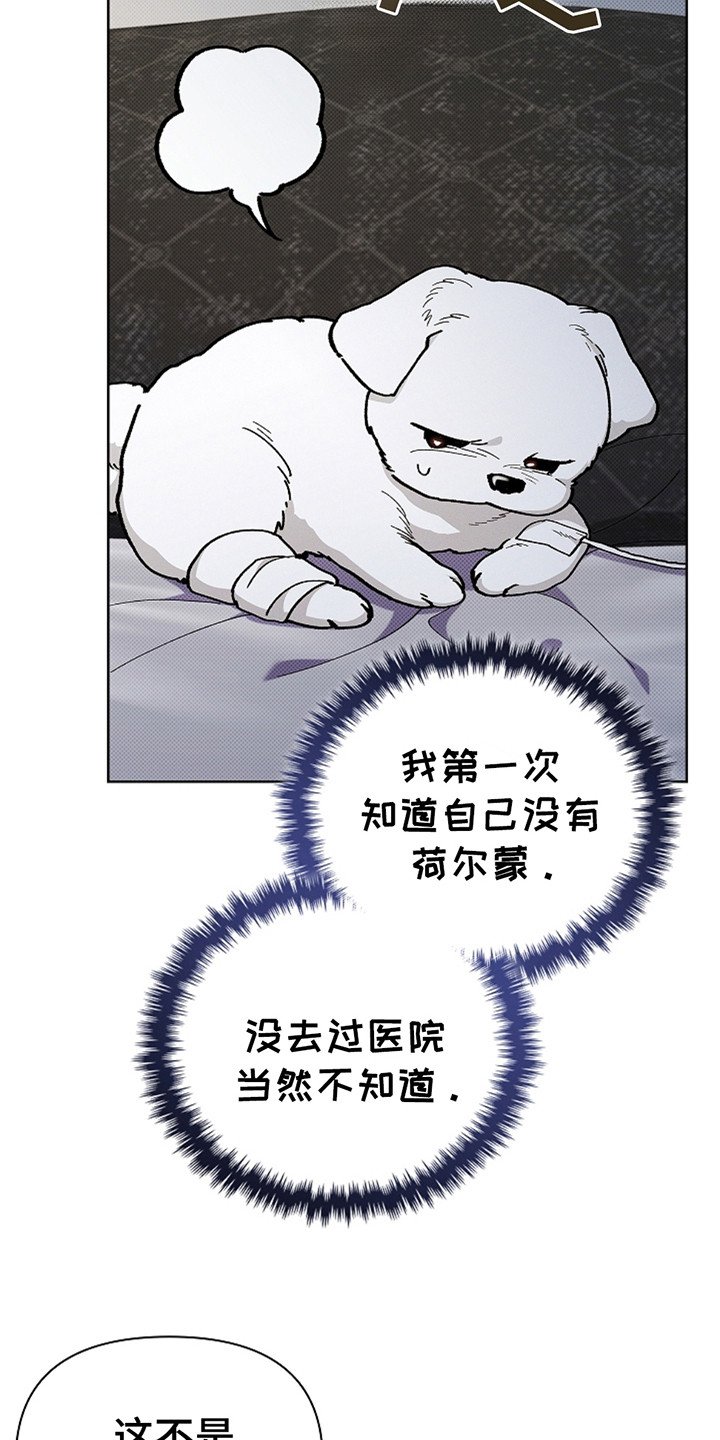 第11章：不能大意