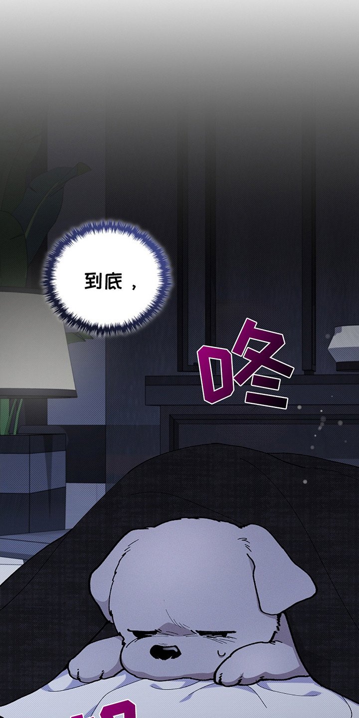 第11章：不能大意