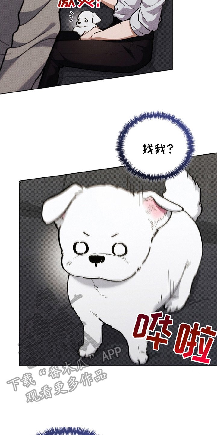 第13章：记仇