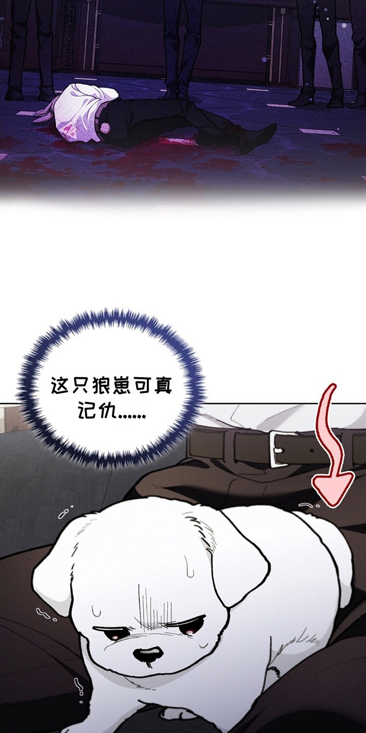 第13章：记仇