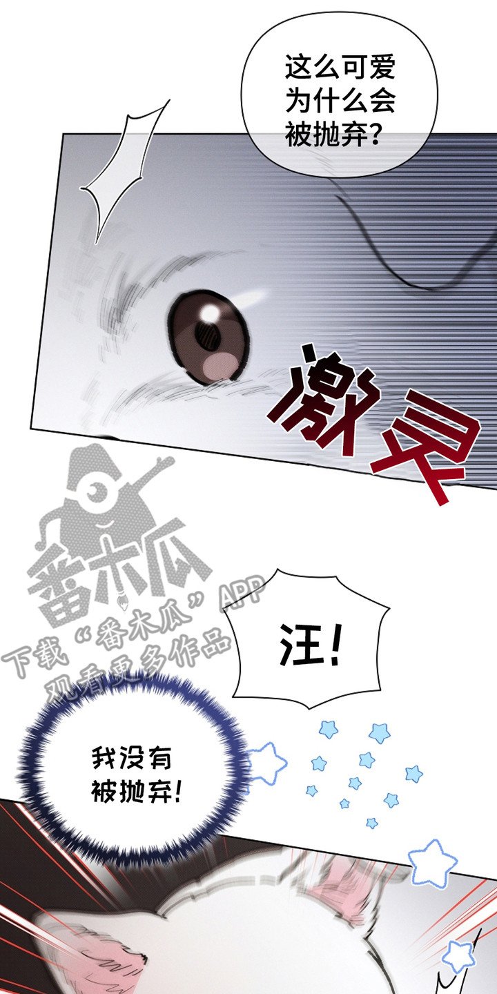 第15章：玩具