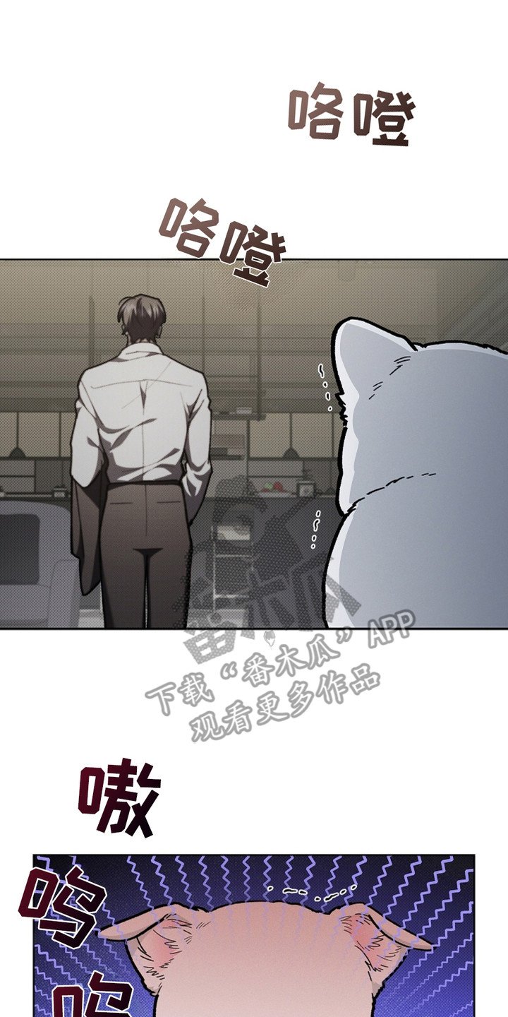 第15章：玩具