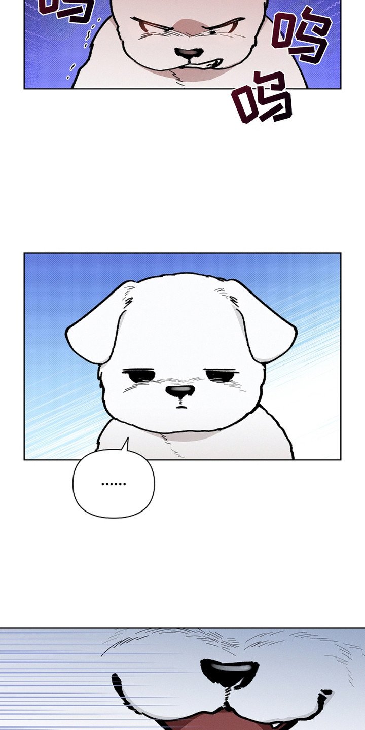第15章：玩具
