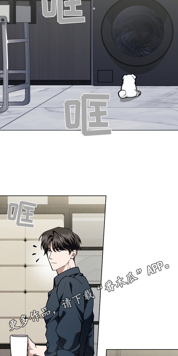 第15章：玩具