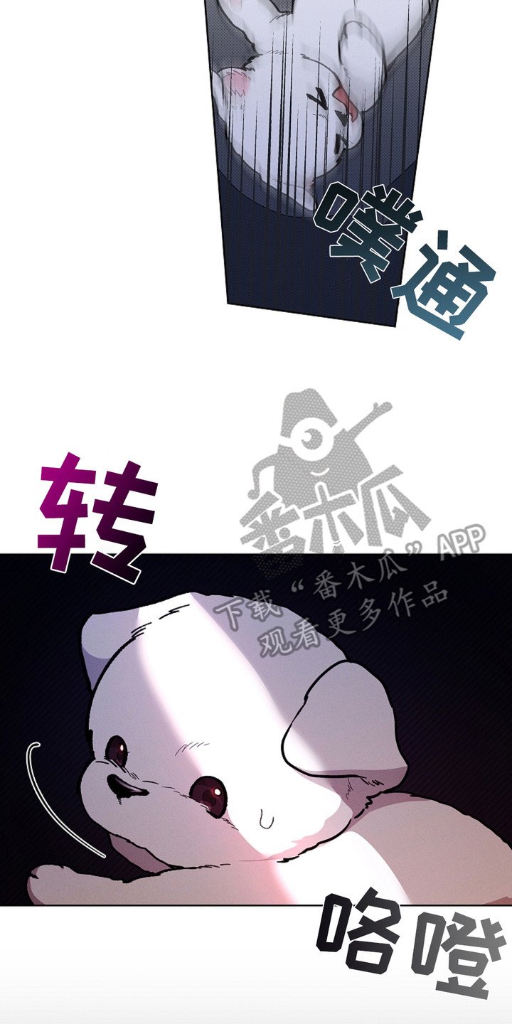 第17章：睚眦必报