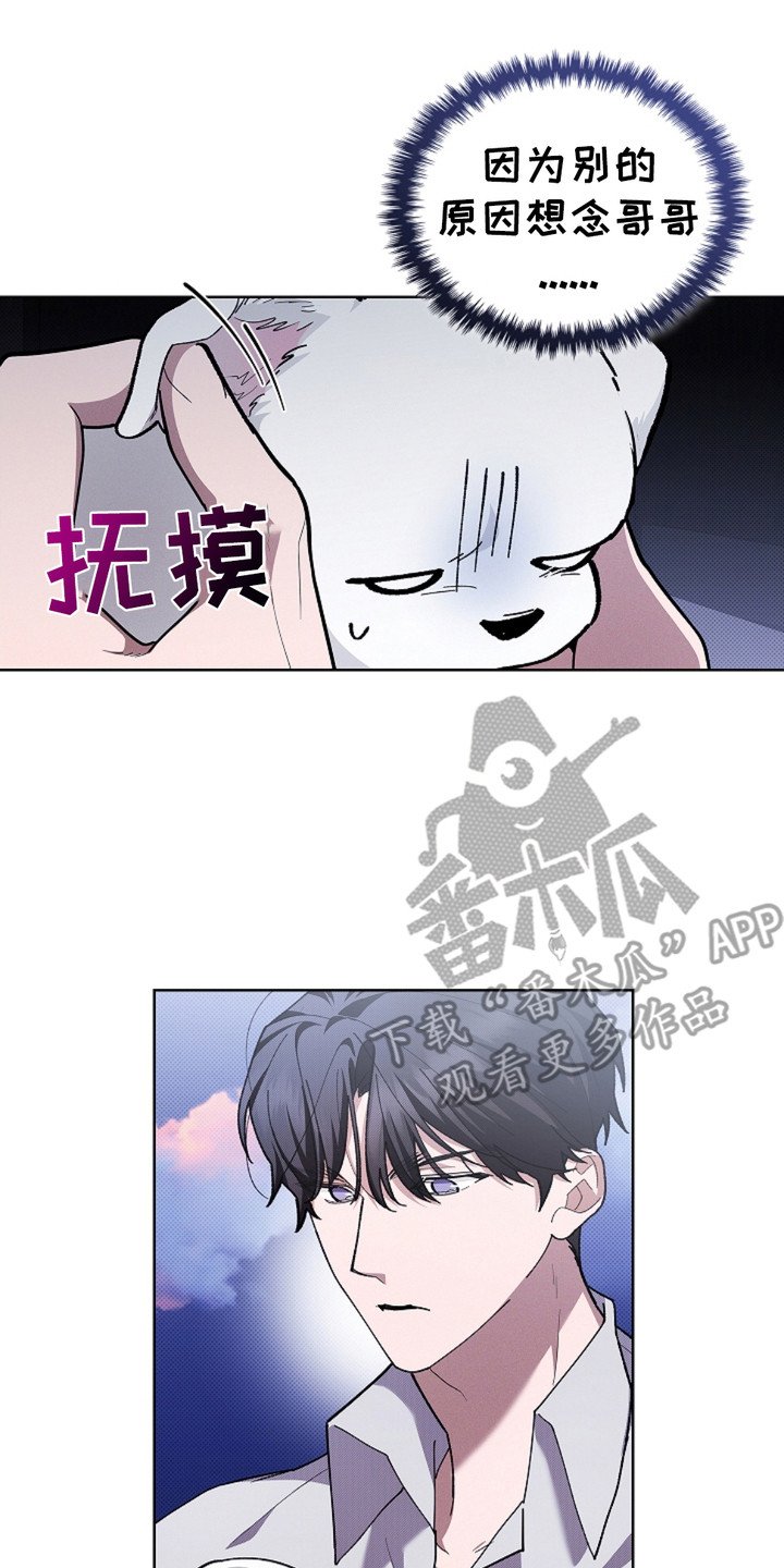 第19章：采耳