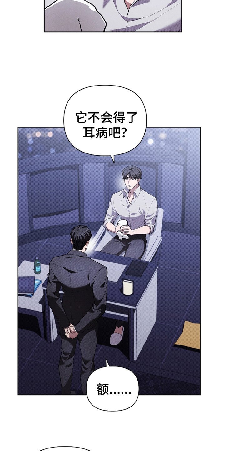 第19章：采耳