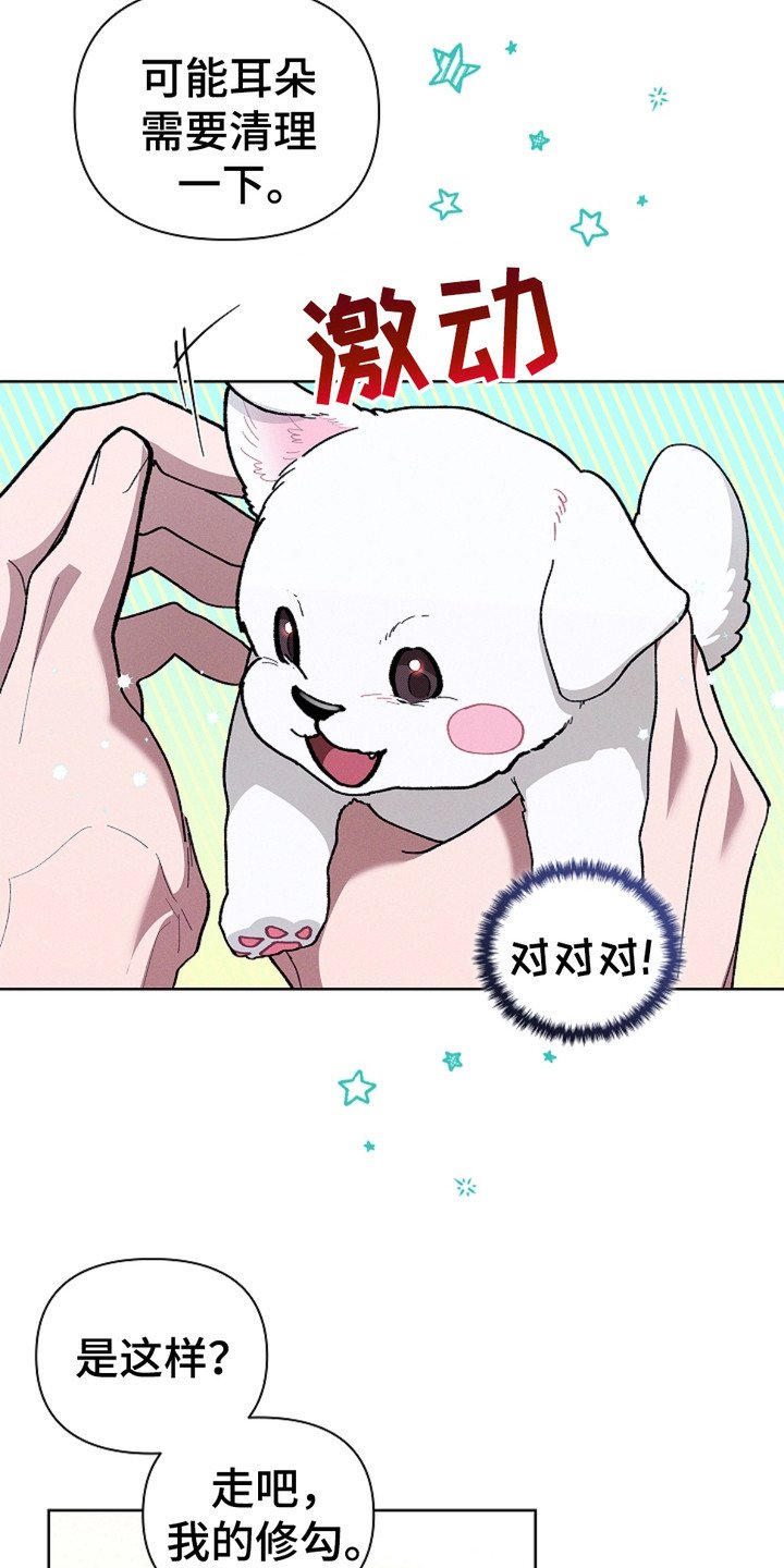 第19章：采耳