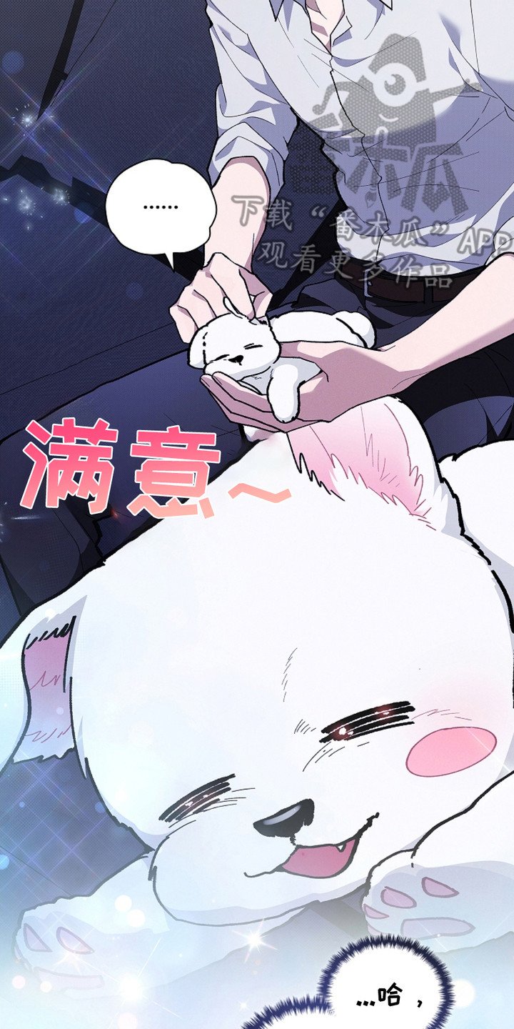 第19章：采耳