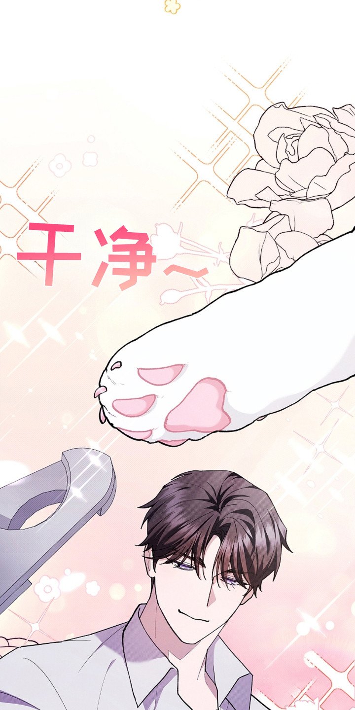 第19章：采耳