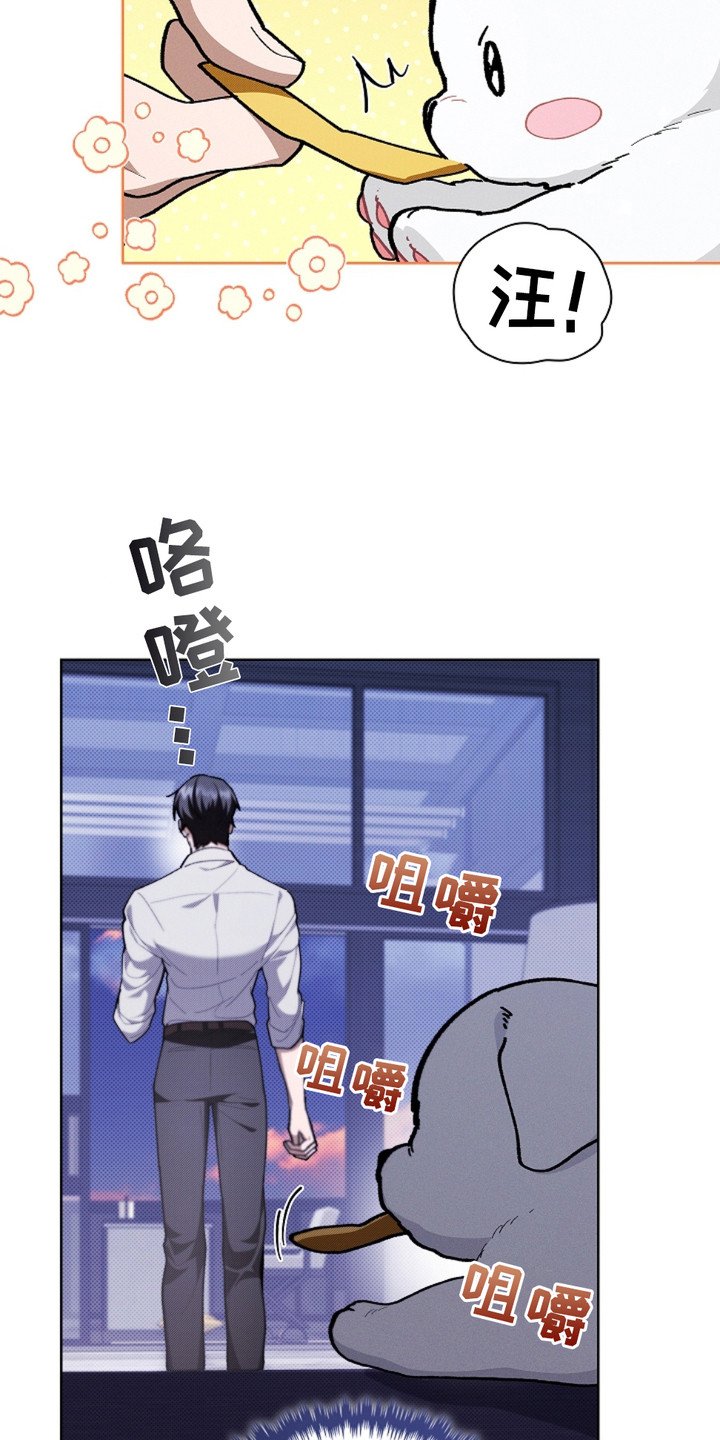 第19章：采耳