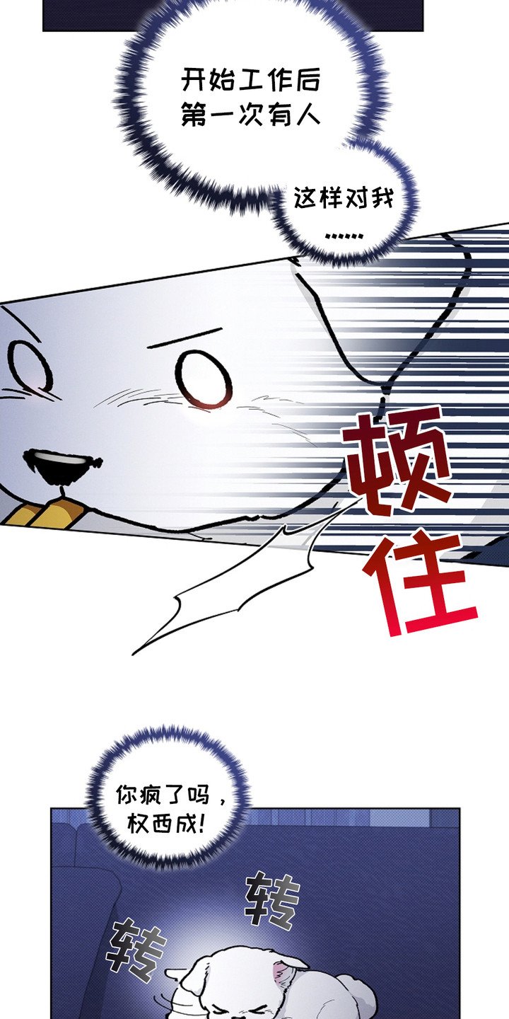 第19章：采耳