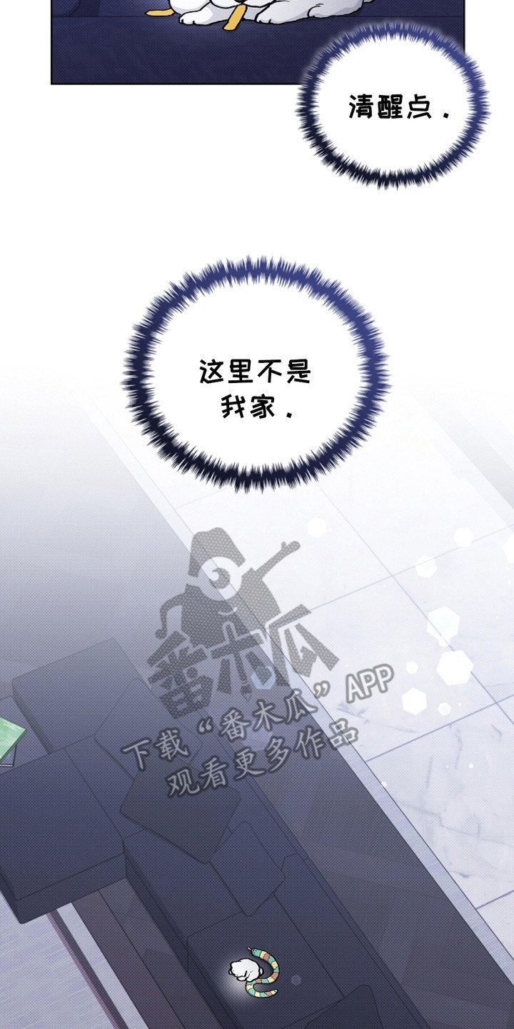 第19章：采耳